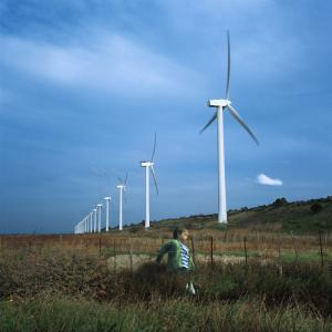 Nocturnes ou les garçons perdus