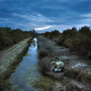 Nocturnes ou les garçons perdus